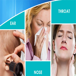 best Homeopathy Doctor in Gorakhpur