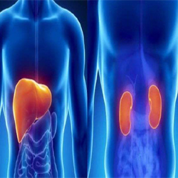 best Homeopathy Doctor in Gorakhpur