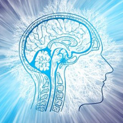 best Homeopathy Doctor in Gorakhpur