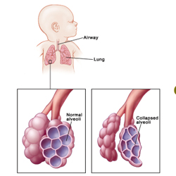 best Homeopathy Doctor in Gorakhpur